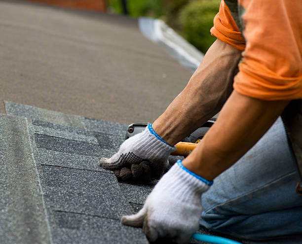Best Metal Roofing Contractor  in St James City, FL