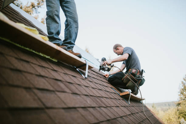 Best Gutter Installation and Roofing  in St James City, FL